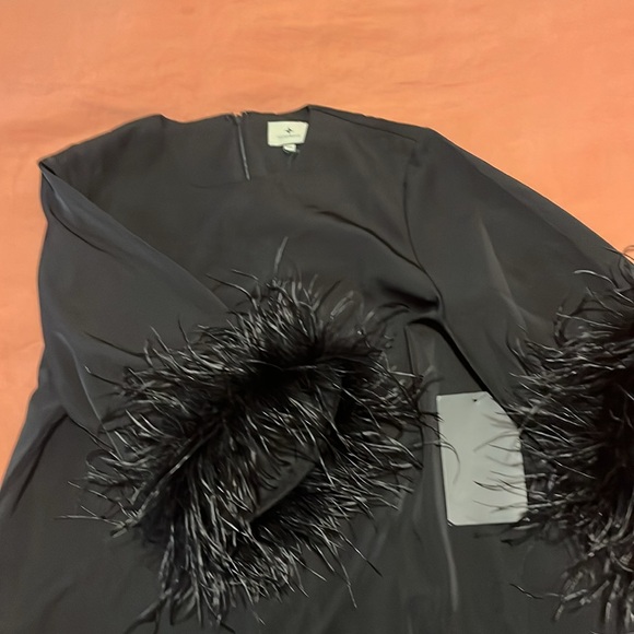 Black Feather Mod Ellie Dress sz XXL NWT - Picture 9 of 11